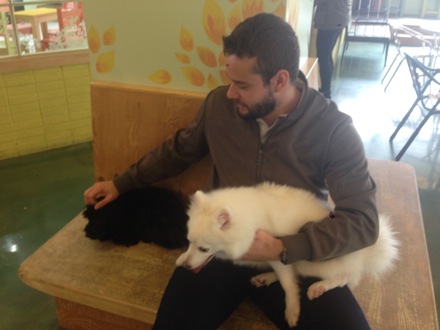 dogs, pet cafe, coffee, Nirupam Chakraborti, Harry Bhadeshia, Wilberth Solano, Nack Joon Kim, flowers, Namashkar, Indian food