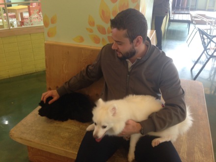 dogs, pet cafe, coffee, Nirupam Chakraborti, Harry Bhadeshia, Wilberth Solano, Nack Joon Kim, flowers, Namashkar, Indian food