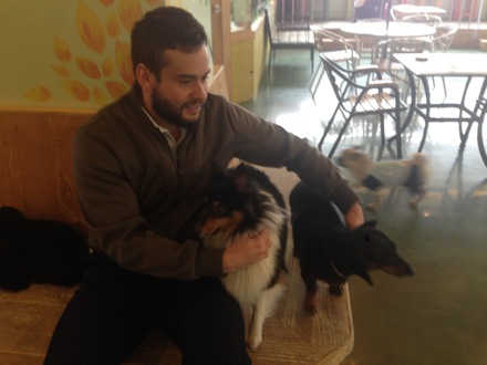 dogs, pet cafe, coffee, Nirupam Chakraborti, Harry Bhadeshia, Wilberth Solano, Nack Joon Kim, flowers, Namashkar, Indian food