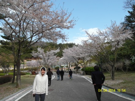 computational metallurgy, GIFT, POSTECH, graduate institute of ferrous technology, Nirupam Chakraborti,Eunju Song, Seung Woo Seo, picnic