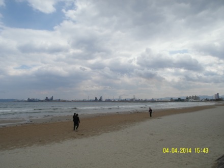 computational metallurgy, GIFT, POSTECH, graduate institute of ferrous technology, Nirupam Chakraborti,Eunju Song, Seung Woo Seo, picnic