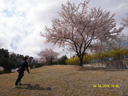 computational metallurgy, GIFT, POSTECH, graduate institute of ferrous technology, Nirupam Chakraborti,Eunju Song, Seung Woo Seo, picnic