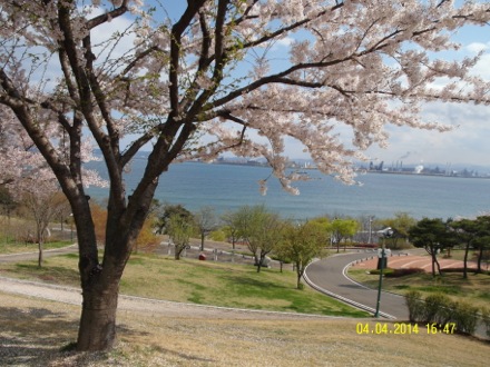 computational metallurgy, GIFT, POSTECH, graduate institute of ferrous technology, Nirupam Chakraborti,Eunju Song, Seung Woo Seo, picnic