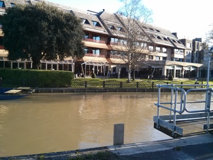 CBMM, Yan Pei, Neel Bhattacharya, Arunim Ray, Harry Bhadeshia, Mathew Peet, Steve Ooi, Frank Barbaro, Marcus Stuart, Leonardo, Marcel