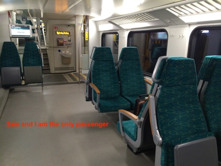 Amir Shirzadi, Dresden, Istanbul