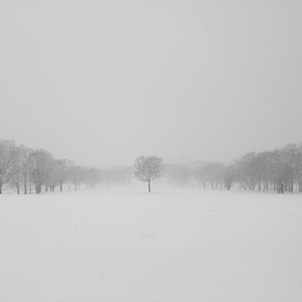 Danyi Luo visits Hokkaido in Japan, metallurgy, steel, phase transformations and complex properties research group