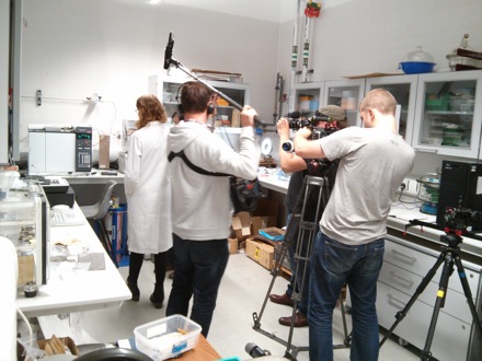 Steve Ooi, the movie