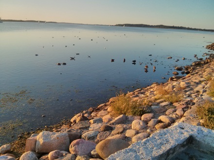 New frontiers in nanostructured metals, 35th Risoe meeting, Roskilde, Denmark