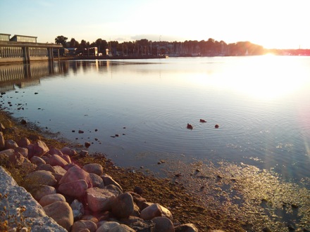 New frontiers in nanostructured metals, 35th Risoe meeting, Roskilde, Denmark