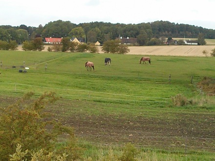 New frontiers in nanostructured metals, 35th Risoe meeting, Roskilde, Denmark