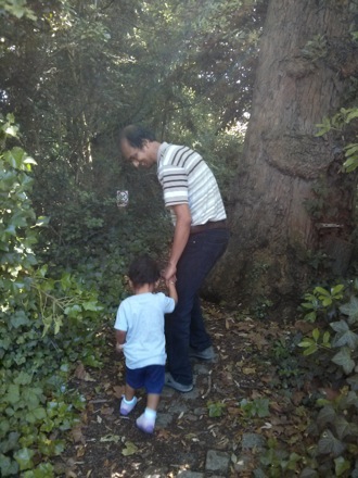 Exploring Darwin Island