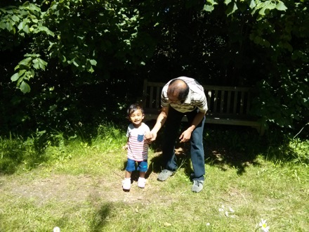 Exploring Darwin Island