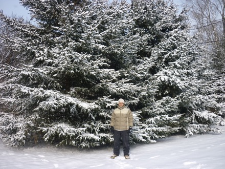 Tim Ramjaun, Canada, Winter, Chalk River, neutron diffraction, Phase transformations
