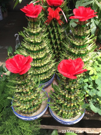 Amir Shiradi, Wuhan, China