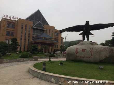 Amir Shiradi, Wuhan, China