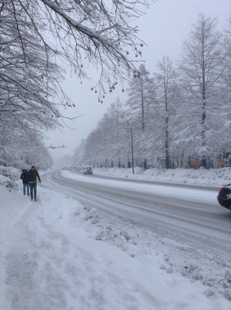 Korea: New Year's day, Brain food, Delicious food, In Gee leaves, Tomomichi Ozaki, Snow, Pizza,Valentine's day