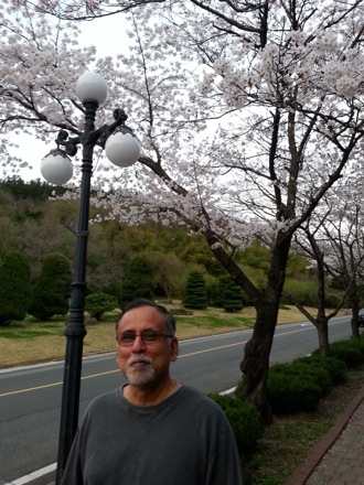 spring in Pohang, South Korea, Nirupam Chakraborty, Harry Bhadeshia