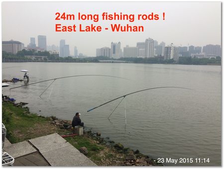 Amir in Guangzhou, Wuhan and Chengdu 2015