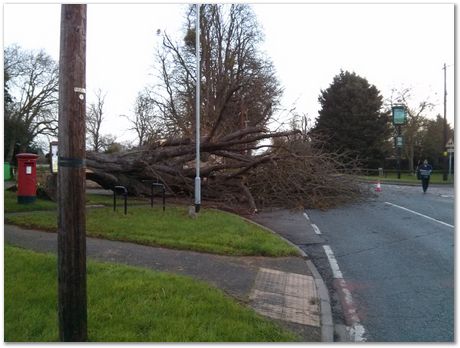 extremely complex problems, Anglia and Cambridge Materials Society