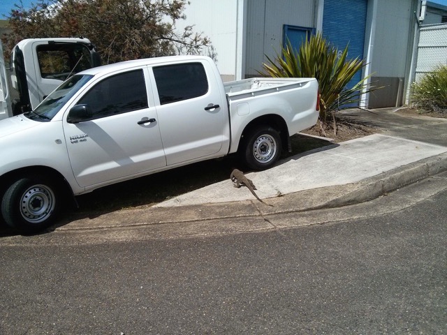 Lin Sun visits Australia, Small angle neutron scattering, phase transformations and complex properties research group