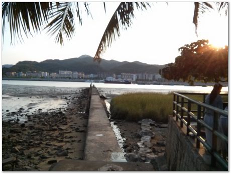 Conference on Materials Science and Engineering, Macau, University of Macau, Harry Bhadeshia