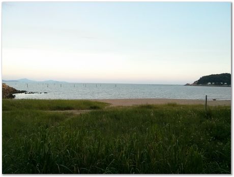 Conference on Materials Science and Engineering, Macau, University of Macau, Harry Bhadeshia