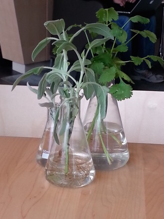 Harry Bhadeshia at the Case Western Reserve University to deliver the 2015 Van Horn Distinguished Lectures