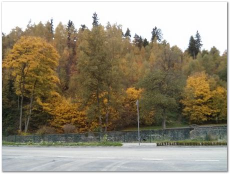 Russian chocolates, Rails and Houffalize in Belgium, Harry Bhadeshia