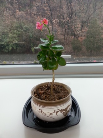 GIFT, POSTECH, Harry Bhadeshia