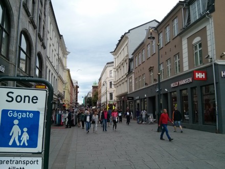 Norwegian Research Council, Harry Bhadeshia, Professor Guus Rignders (Twente University), Bente Gjelsnes (Norwegian Research Council), Heidi Roggen (Norwegian Research Council), Professor Anthony West (Sheffield University), Professor Grethe Winther (Technical University of Denmark), Professor Merlyne De Souza (Sheffield University)