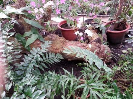 Tomsk State University,Tomsk, Russian Federation, Siberia, Harry Bhadeshia, Lindsey Greer, phase transformations and complex properties research group