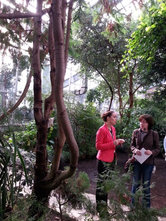 Tomsk State University,Tomsk, Russian Federation, Siberia, Harry Bhadeshia, Lindsey Greer, phase transformations and complex properties research group