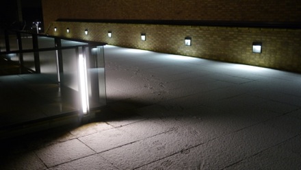 Tomoyuki Yokota, Subhankar das Bakshi