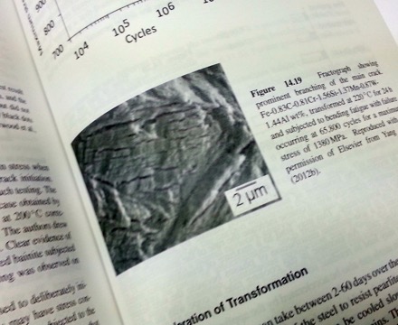 Bainite in Steels: theory and practice, third edition, H. K. D. H. Bhadeshia, steels, phase transformations