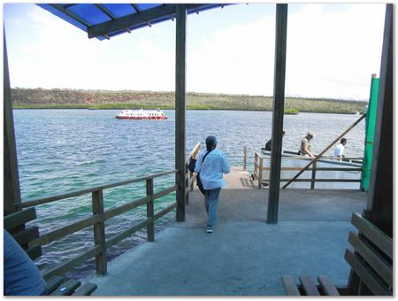 rimg0303.jpg Galapagos Islands, Ecuador, Charles Darwin, Evolution