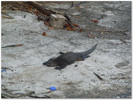 rimg0329.jpg Galapagos Islands, Ecuador, Charles Darwin, Evolution