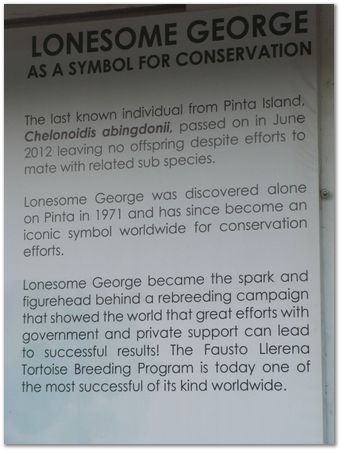 rimg0339.jpg Galapagos Islands, Ecuador, Charles Darwin, Evolution