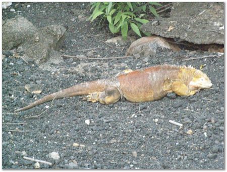 rimg0341.jpg Galapagos Islands, Ecuador, Charles Darwin, Evolution