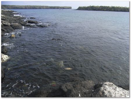 rimg0344.jpg Galapagos Islands, Ecuador, Charles Darwin, Evolution