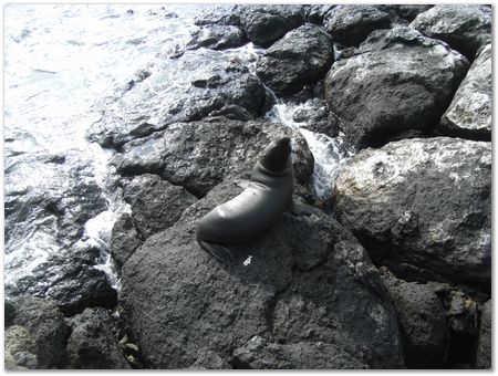 rimg0348.jpg Galapagos Islands, Ecuador, Charles Darwin, Evolution