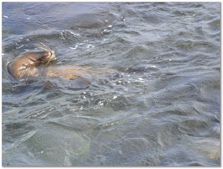 rimg0355.jpg Galapagos Islands, Ecuador, Charles Darwin, Evolution