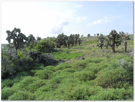 rimg0368.jpg Galapagos Islands, Ecuador, Charles Darwin, Evolution