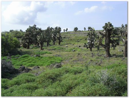 rimg0369.jpg Galapagos Islands, Ecuador, Charles Darwin, Evolution