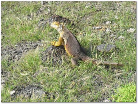 rimg0375.jpg Galapagos Islands, Ecuador, Charles Darwin, Evolution