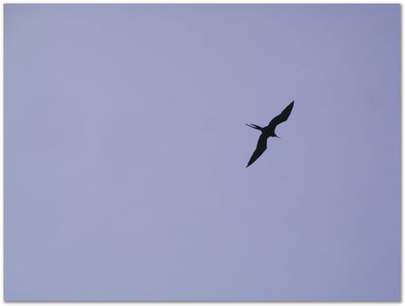 rimg0381.jpg Galapagos Islands, Ecuador, Charles Darwin, Evolution