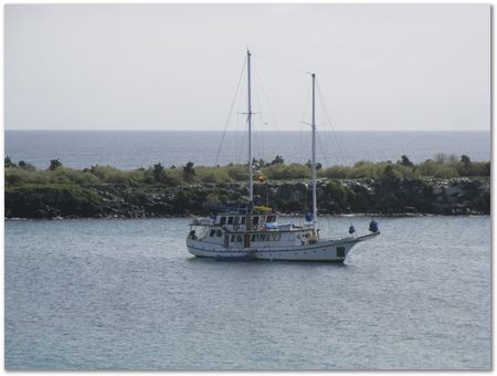 rimg0385.jpg Galapagos Islands, Ecuador, Charles Darwin, Evolution