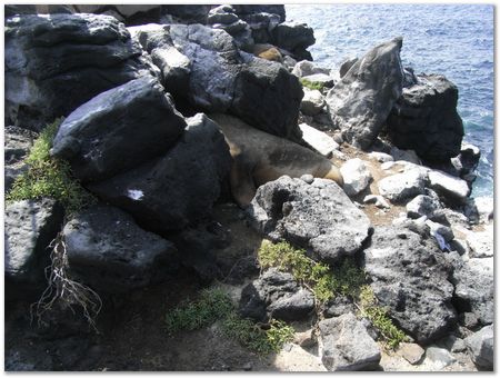 rimg0399.jpg Galapagos Islands, Ecuador, Charles Darwin, Evolution