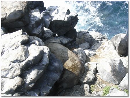 rimg0405.jpg Galapagos Islands, Ecuador, Charles Darwin, Evolution