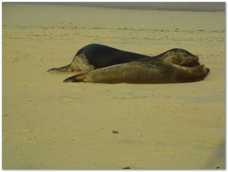 rimg0433.jpg Galapagos Islands, Ecuador, Charles Darwin, Evolution