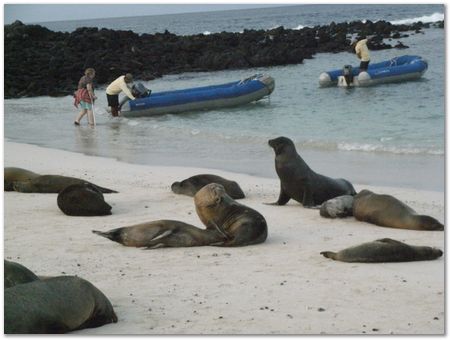 rimg0458.jpg Galapagos Islands, Ecuador, Charles Darwin, Evolution